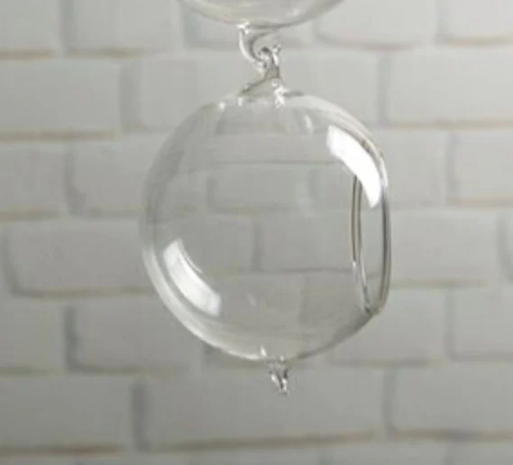 7B645351-7D38-4C7F-8Ff4-4Ec4Da47D671.Webp hydroponic glass vase