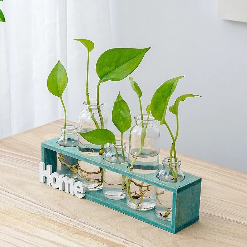 7F0604D4-Ce62-4374-85Aa-F98Bcf429267.Webp simple and fresh glass vase hydroponic