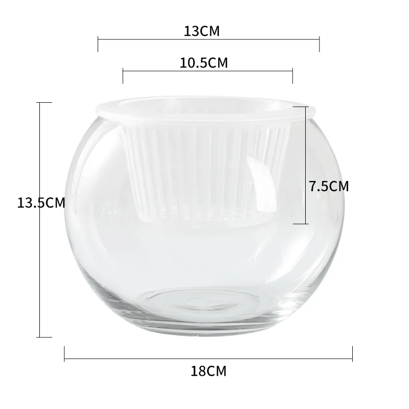 7Fc6163F-656F-4A08-81Ea-96Ce4310C4Eb.webp hydroponic plant glass bottle transparent glass vase
