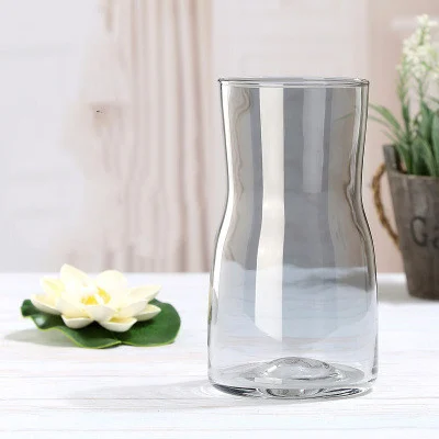 7Fe97945-8B65-4721-Ac60-1D94325Cc088.Webp transparent hydroponic glass bottle decorative flower maker