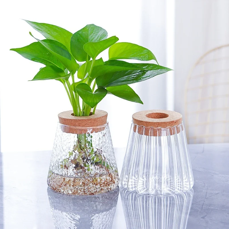 81Cccac5-7Af8-47Fe-Be88-972F4A640B29_Trans.webp hydroponic glass vase transparent desktop display
