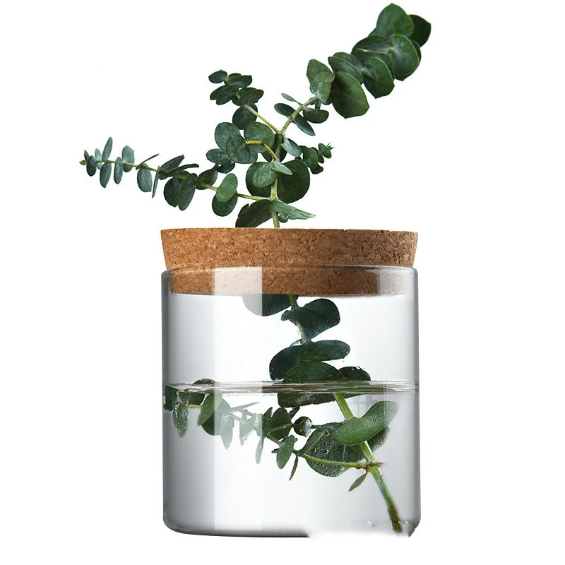 84Cafa16-1Cff-4C7D-A12D-Cde764A31692.Webp creative green plant decorative glass hydroponic vase