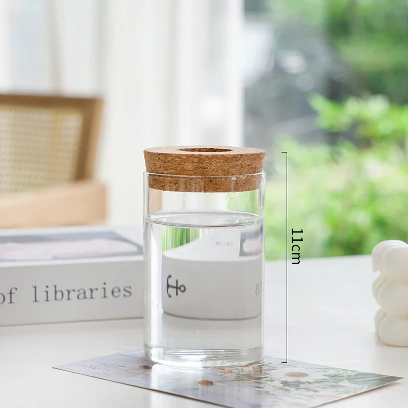 8F6B27E4-Ed50-46C0-A326-F4308578Bf96.Webp transparent simple creative hydroponic plant glass vase