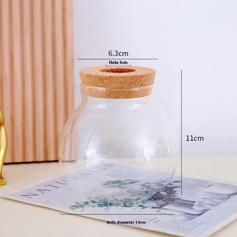 94B7C2F3-734D-4526-9C29-33Fd8213Bf8A_Trans.webp hydroponic glass vase transparent desktop display