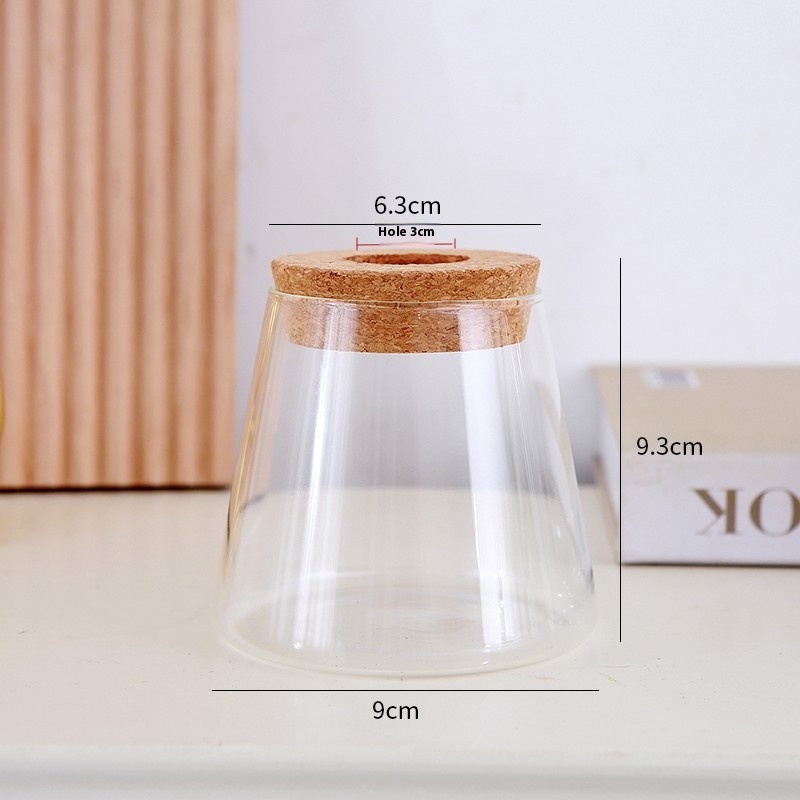 Hydroponic Glass Vase Transparent Desktop Display 5