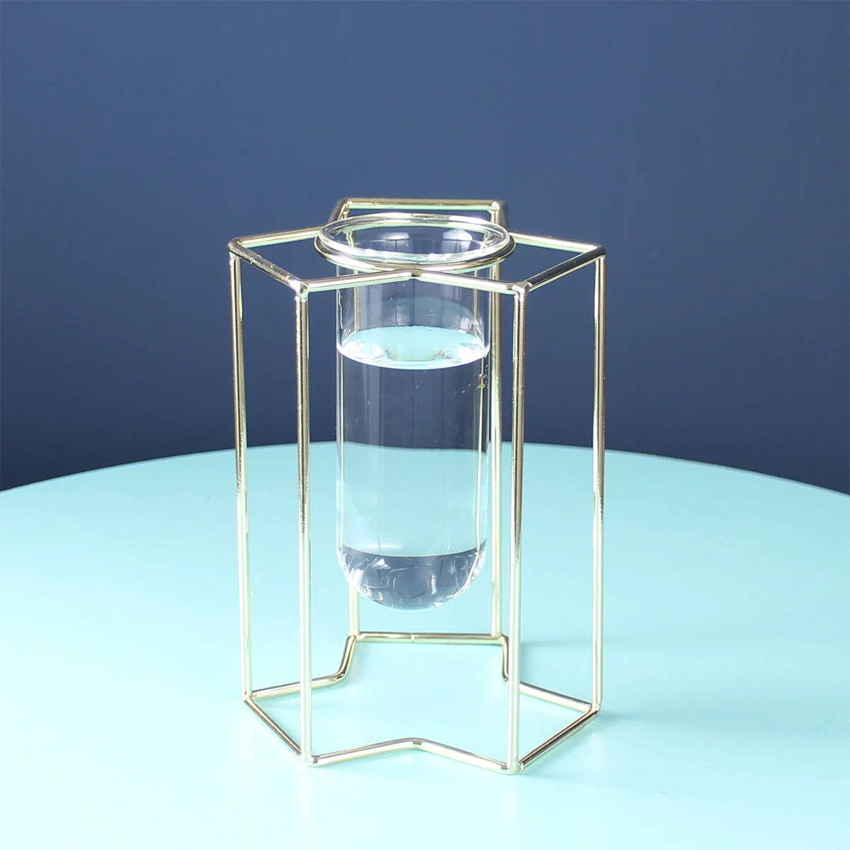 A6408Cec-859C-47C2-9F95-Aec7Fa469C83.Webp light luxury ornaments hydroponic glass vase
