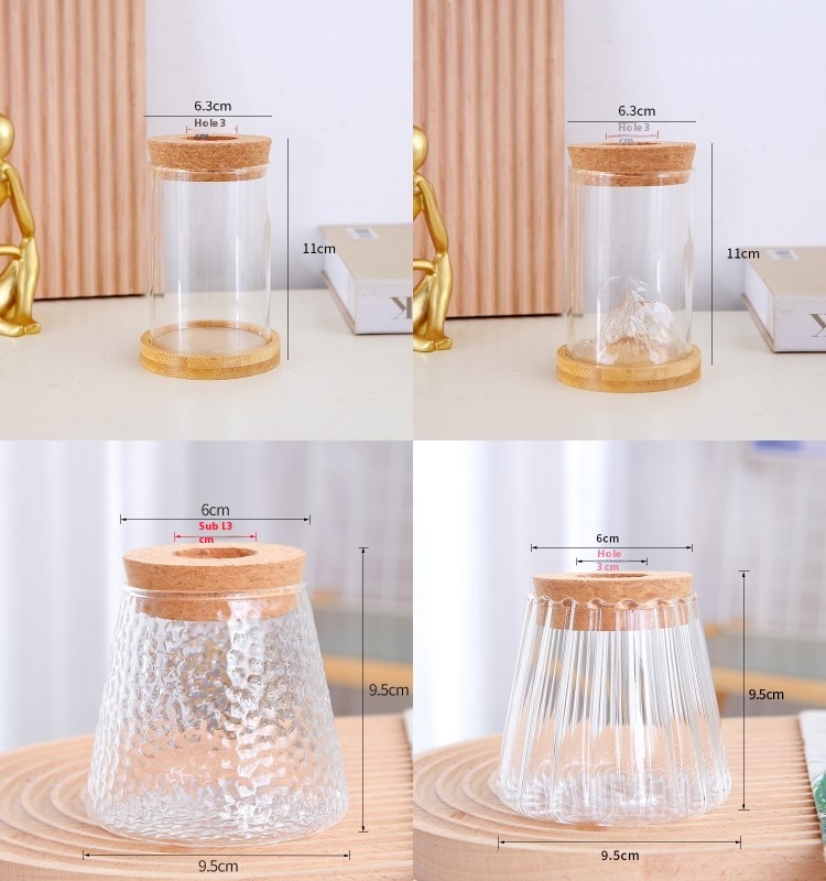 Hydroponic Glass Vase Transparent Desktop Display 2