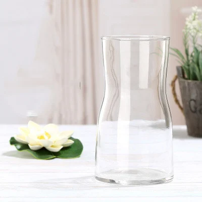 B4Cdce23-3810-4395-9Bcb-022E3089780D.webp transparent hydroponic glass bottle decorative flower maker