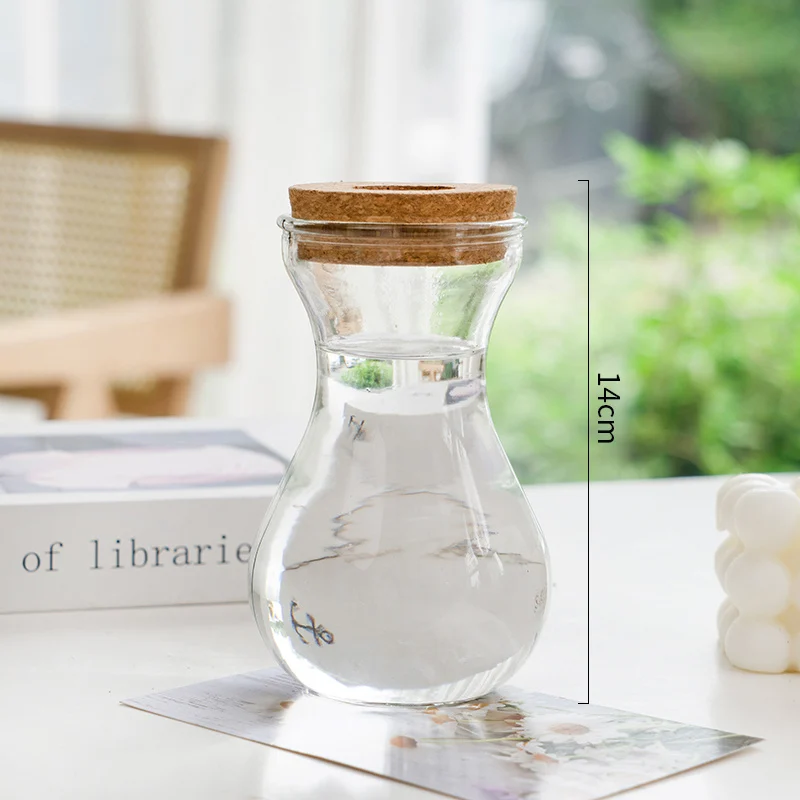 Bcc49F92-0E80-4F59-A216-Ee535260B5Cb.webp transparent simple creative hydroponic plant glass vase