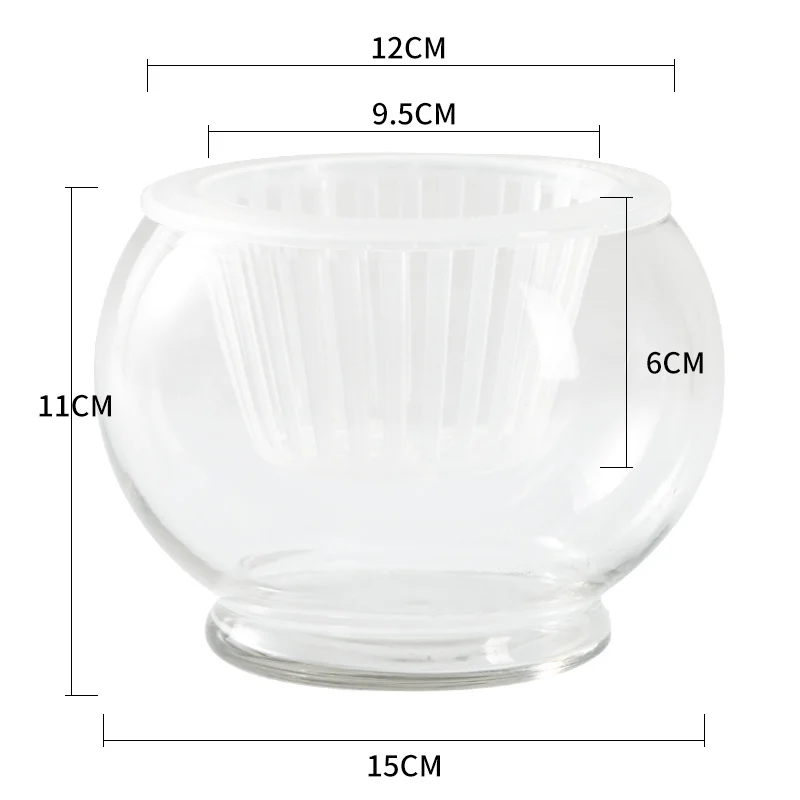 Bd15A5Bc-734F-4130-9864-4677290109D4.Webp hydroponic plant glass bottle transparent glass vase