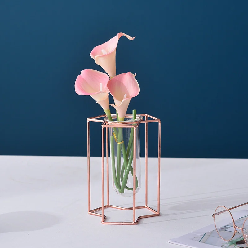 hydroponic glass vase