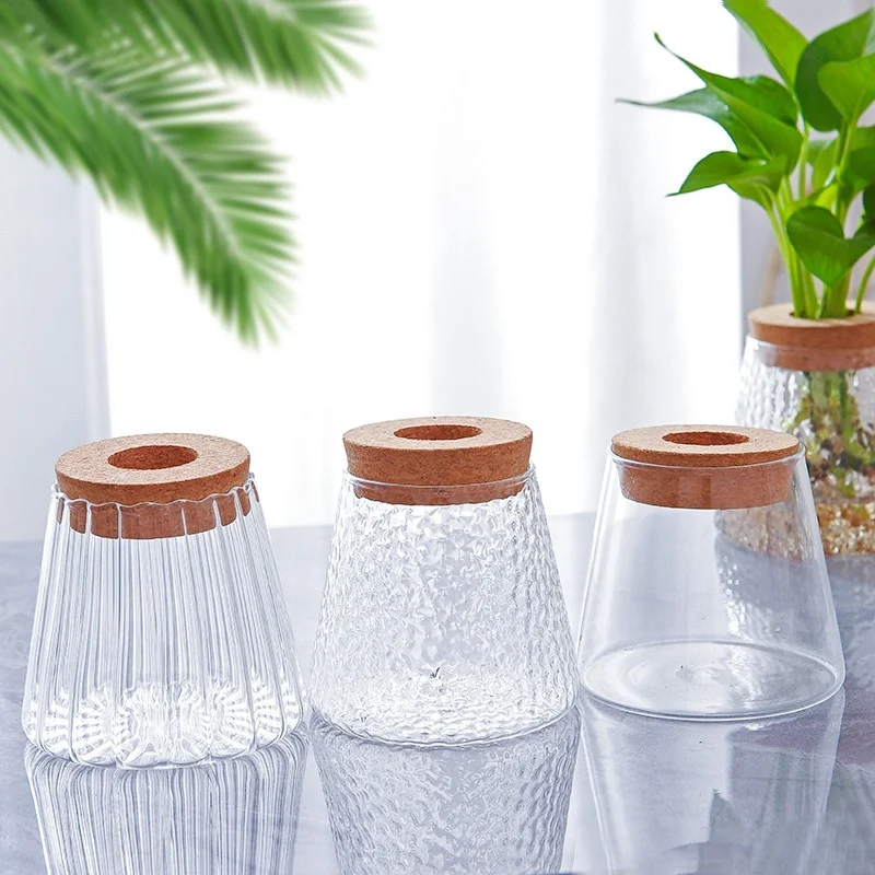 C1C7518A-90C3-449B-985A-93Dcbf2Adbfc_Trans.webp hydroponic glass vase transparent desktop display
