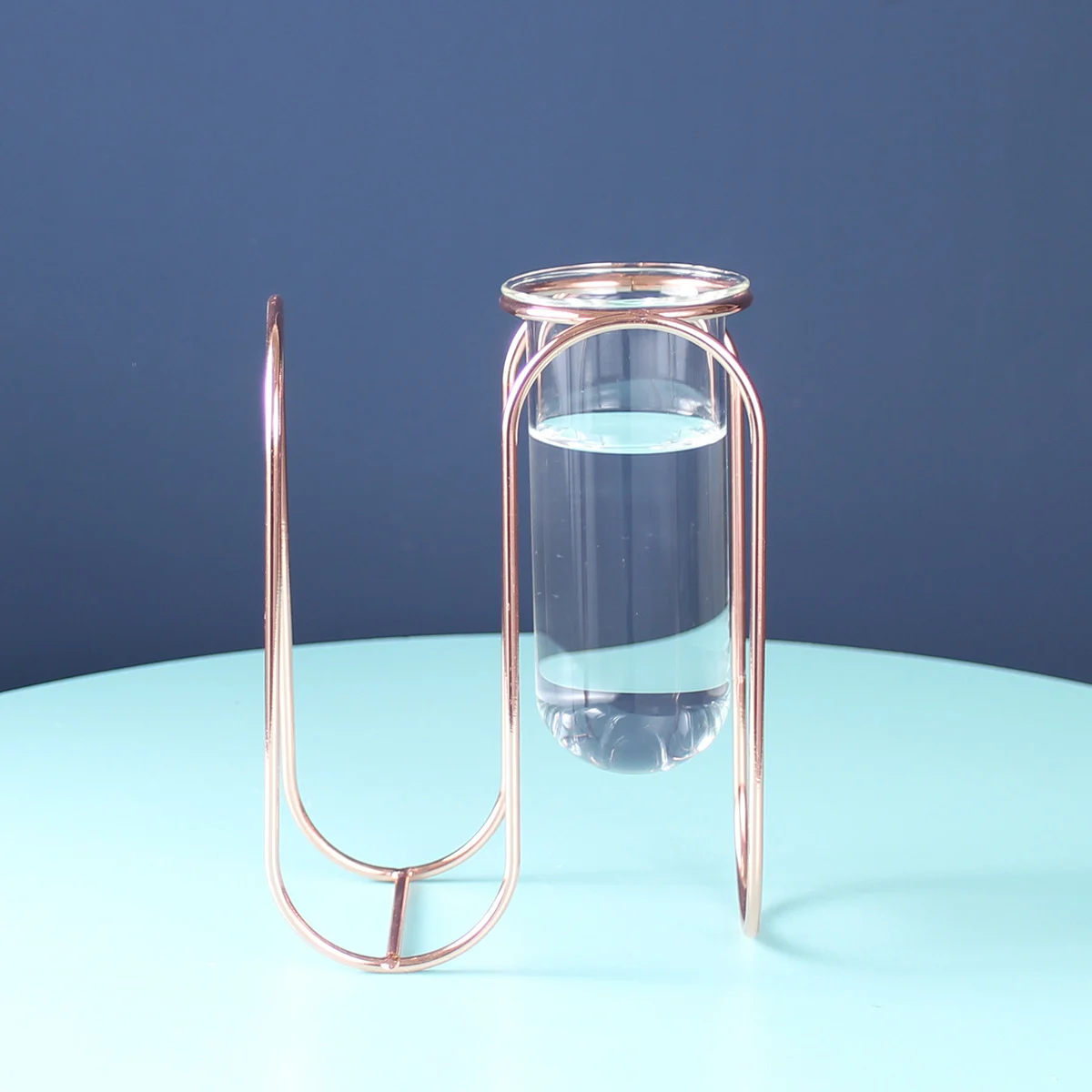 C60A32Cf-Ec55-4A84-8487-A9C6C97A834E.webp hydroponic glass vase