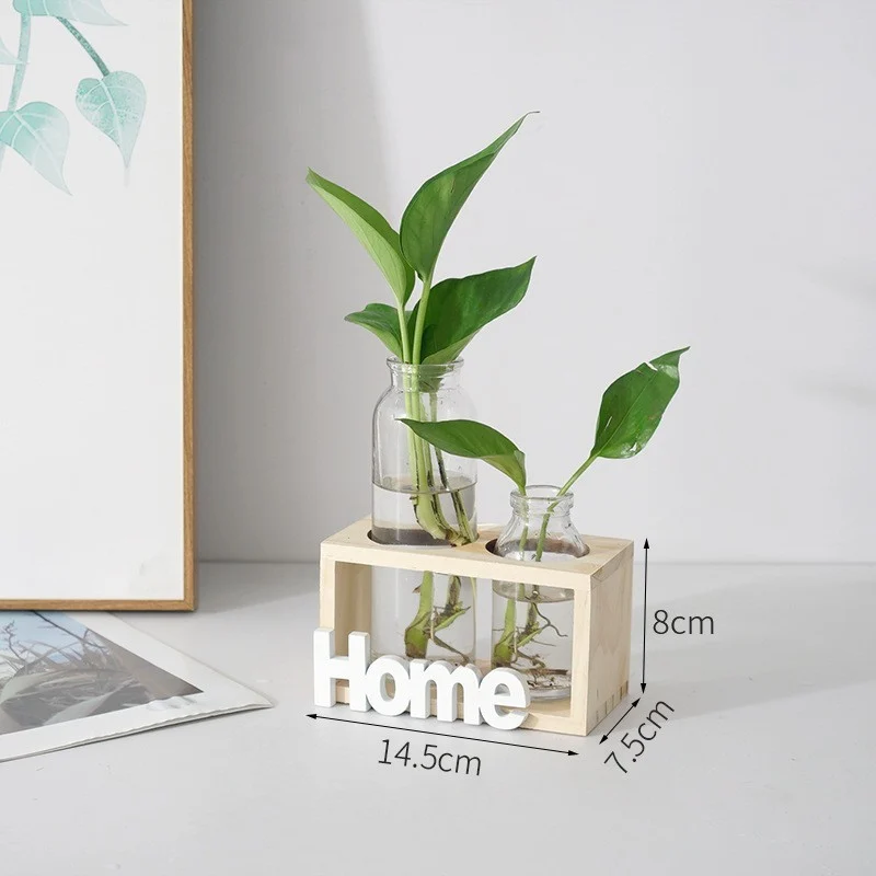 C7F07171-Cb42-46B5-A935-E95Cb88B0B1D.webp simple and fresh glass vase hydroponic