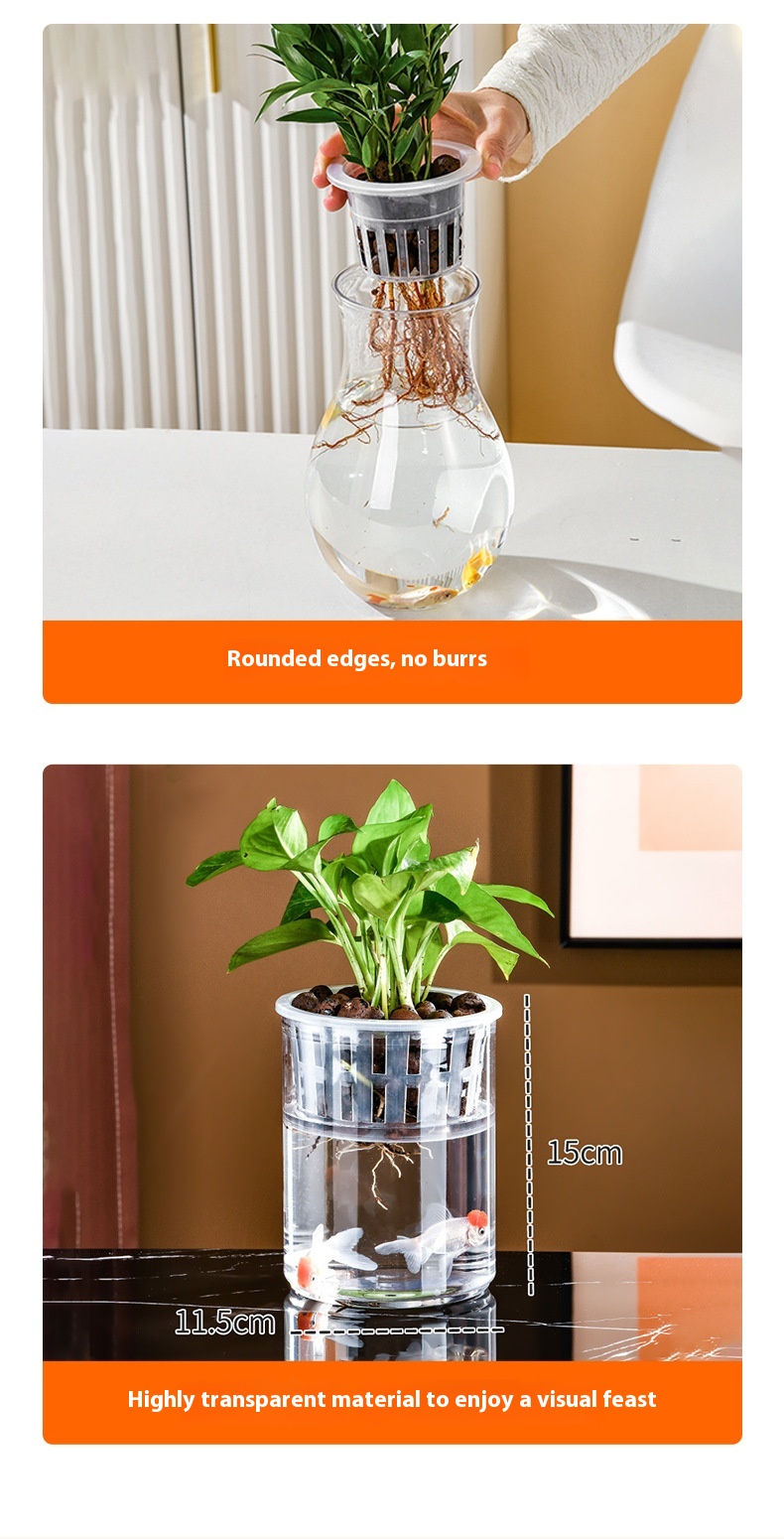 Transparent Plastic Hydroponic Vase Container 4