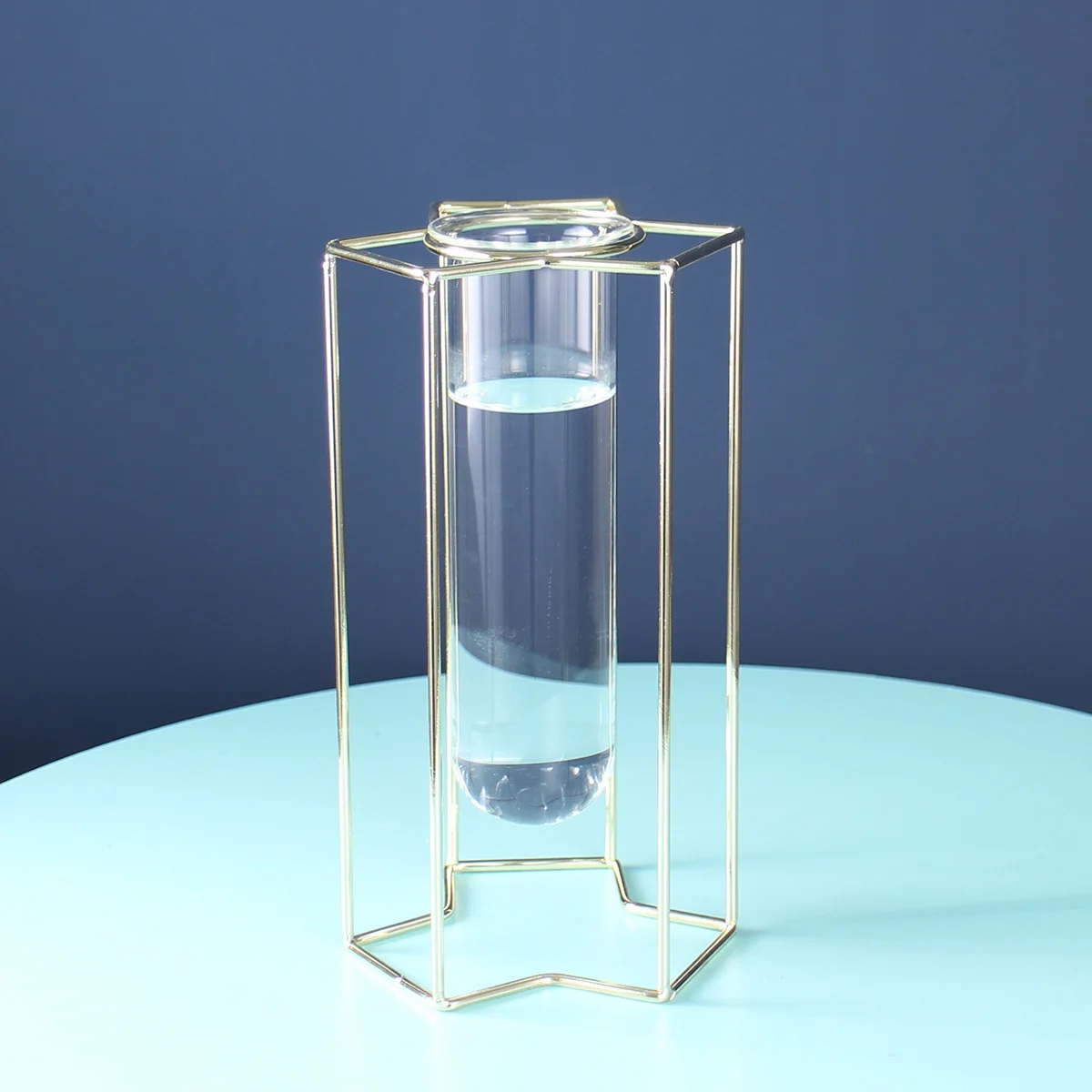 Ce2Fea3F-B1E6-4B27-A3F2-67D738A2F8Ea.webp light luxury ornaments hydroponic glass vase