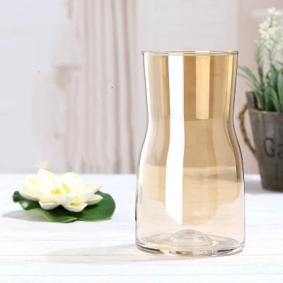 D5Fe17Dd-Af84-4D7E-B29B-Eb3B334F4D8C.webp transparent hydroponic glass bottle decorative flower maker
