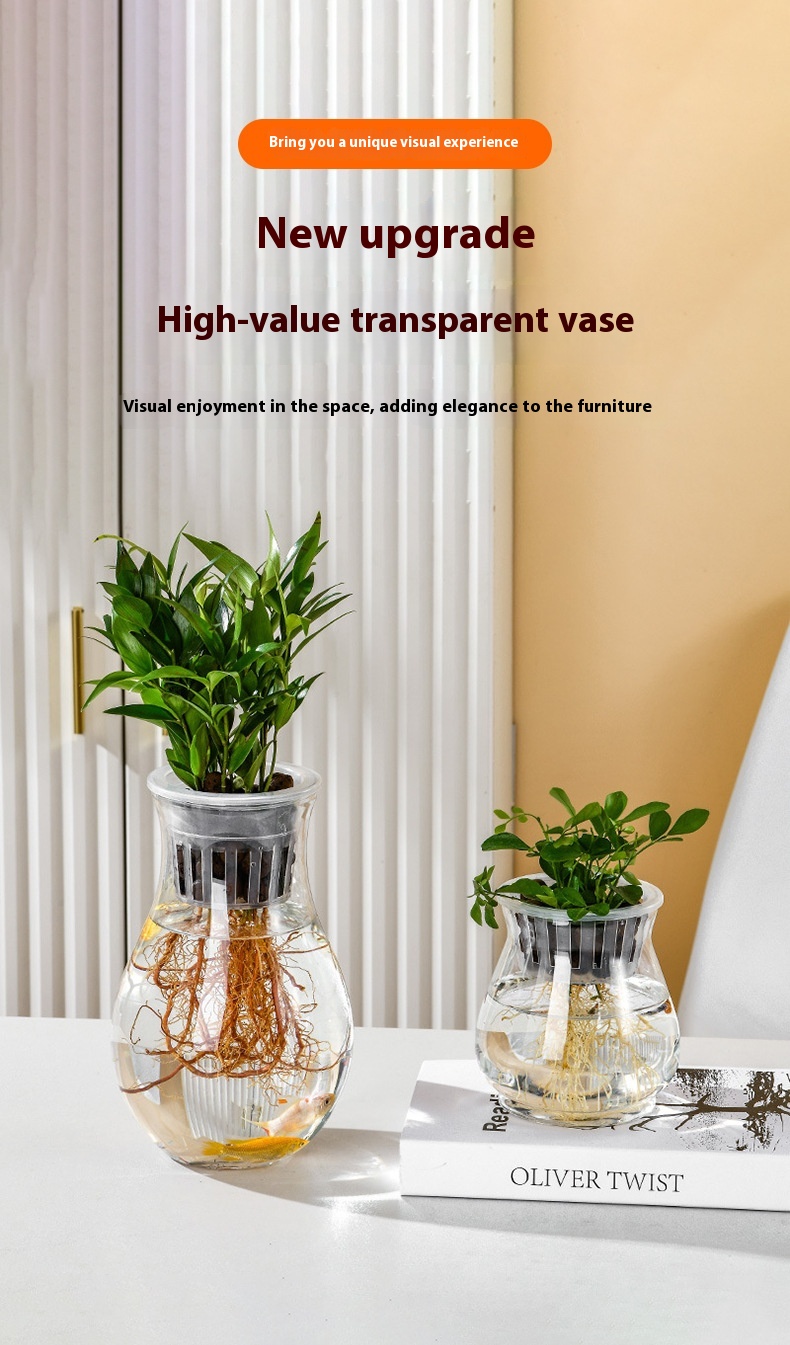 Transparent Plastic Hydroponic Vase Container 3