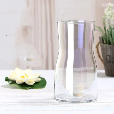 Dec3Eb04-5F8E-427D-B06F-2F4A48D8A1D5.Webp transparent hydroponic glass bottle decorative flower maker