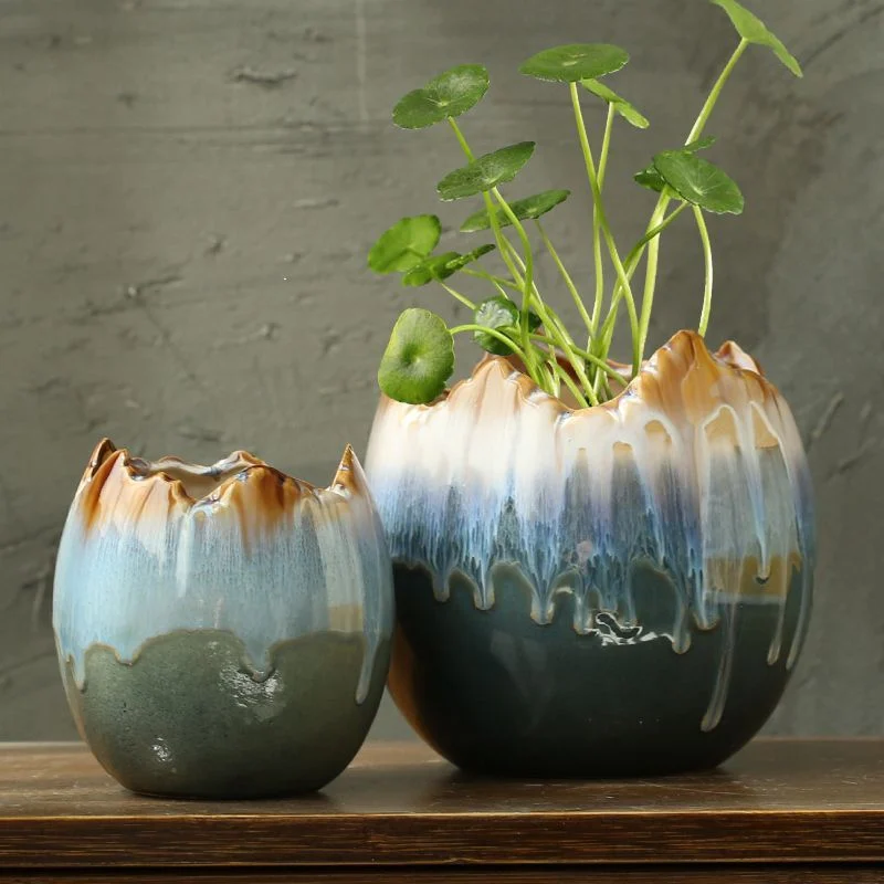 hydrocotyle hydroponic ceramic non-porous flowerpot
