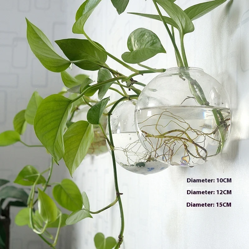 E1Cf0D1A-0943-452D-Ad01-90Cdc2Ff64Bb_Trans.webp creative hydroponic hanging transparent glass vase