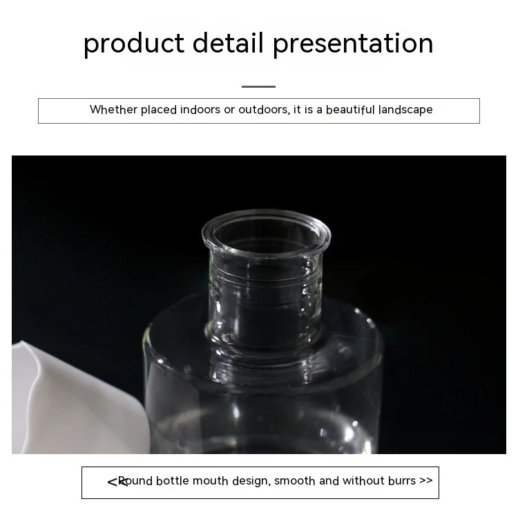 E38Fa174-Ddb6-481A-A865-37Dbeac016Aa.webp transparent small pot plant hydroponic desktop