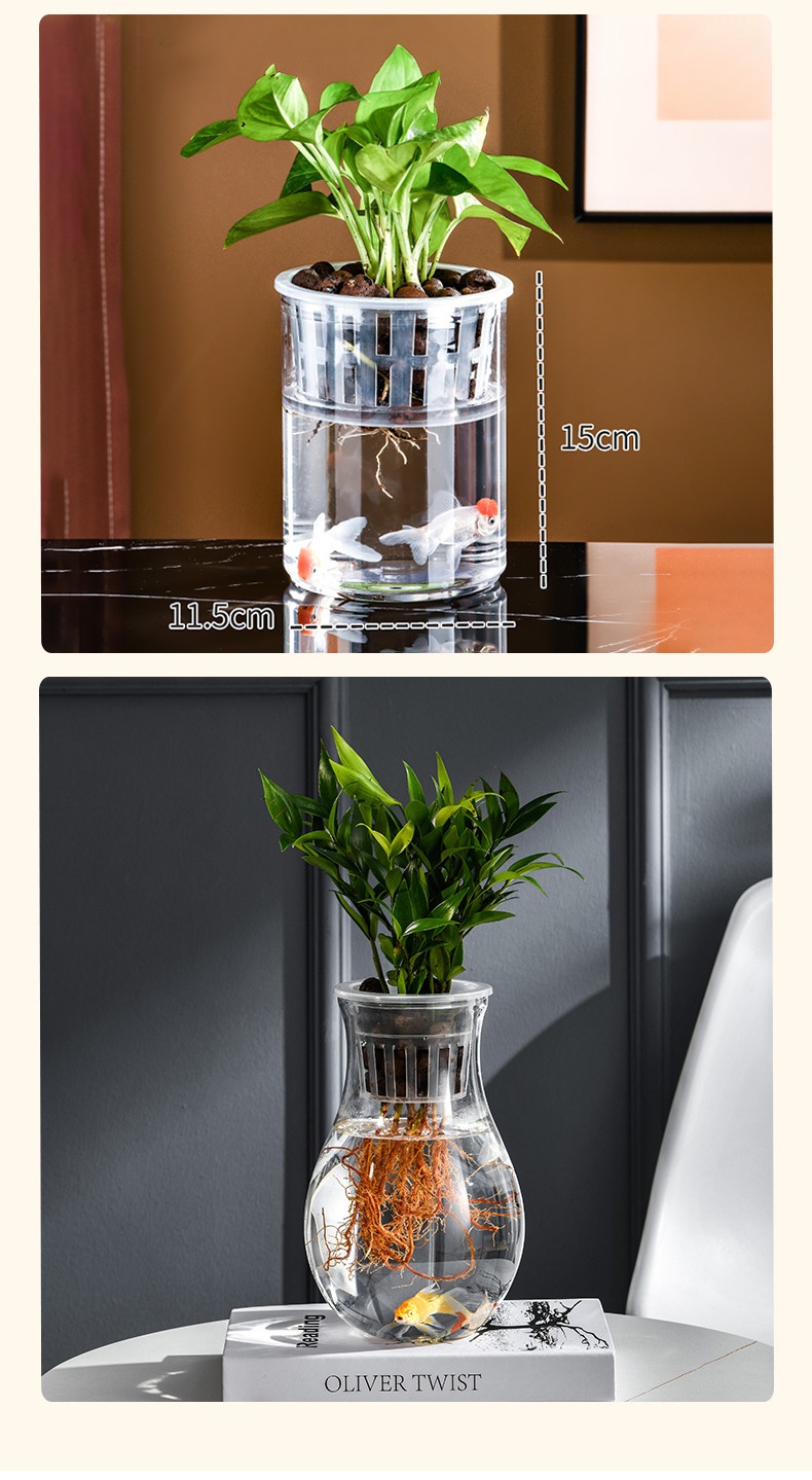 Transparent Plastic Hydroponic Vase Container 5