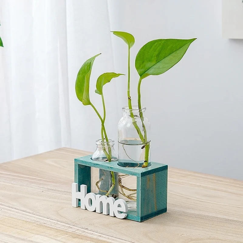 E737D992-Bd16-44C9-B18C-95833Af3D3Ad.webp simple and fresh glass vase hydroponic