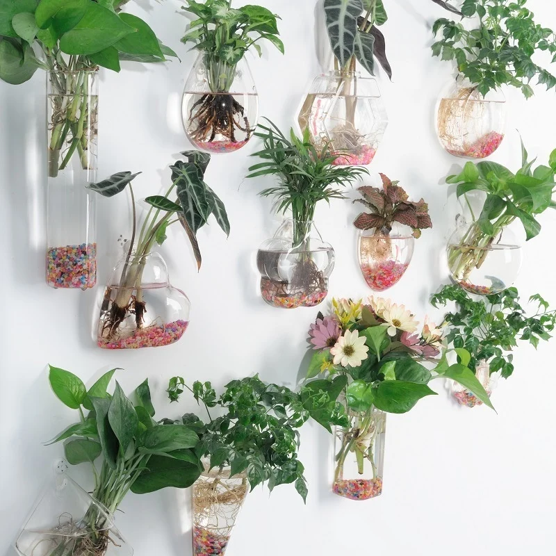 E8D2C730-D65B-402A-Ba9A-8E2F51E924A5_Trans.webp creative hydroponic hanging transparent glass vase