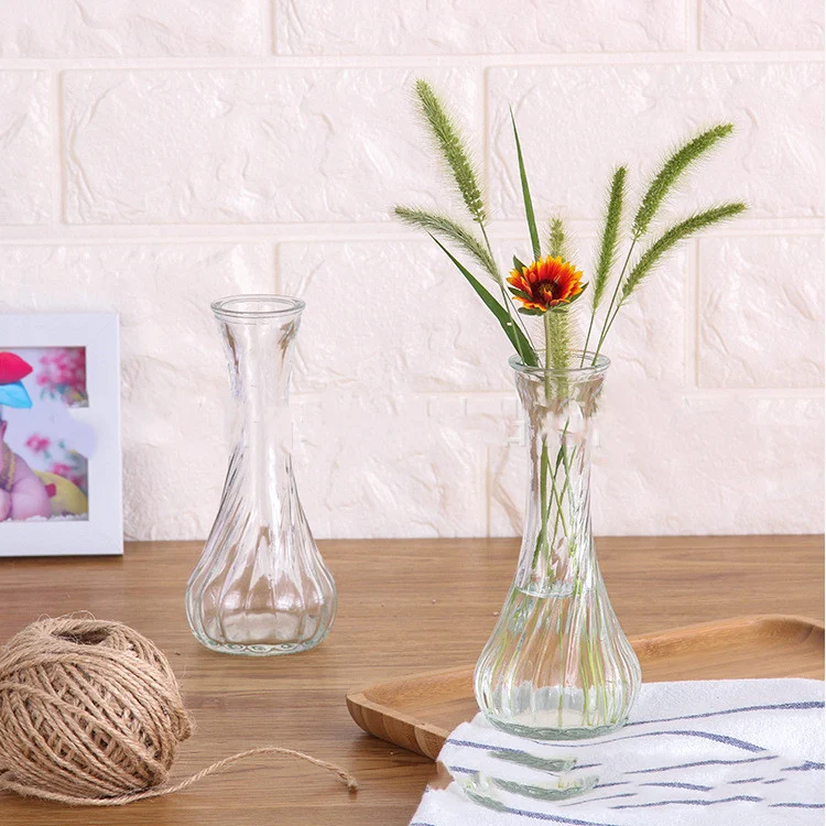 Ecfa7108-C390-4Cbb-9A53-Bce6Ee5Ac036.Webp hydroponic creative glass vase