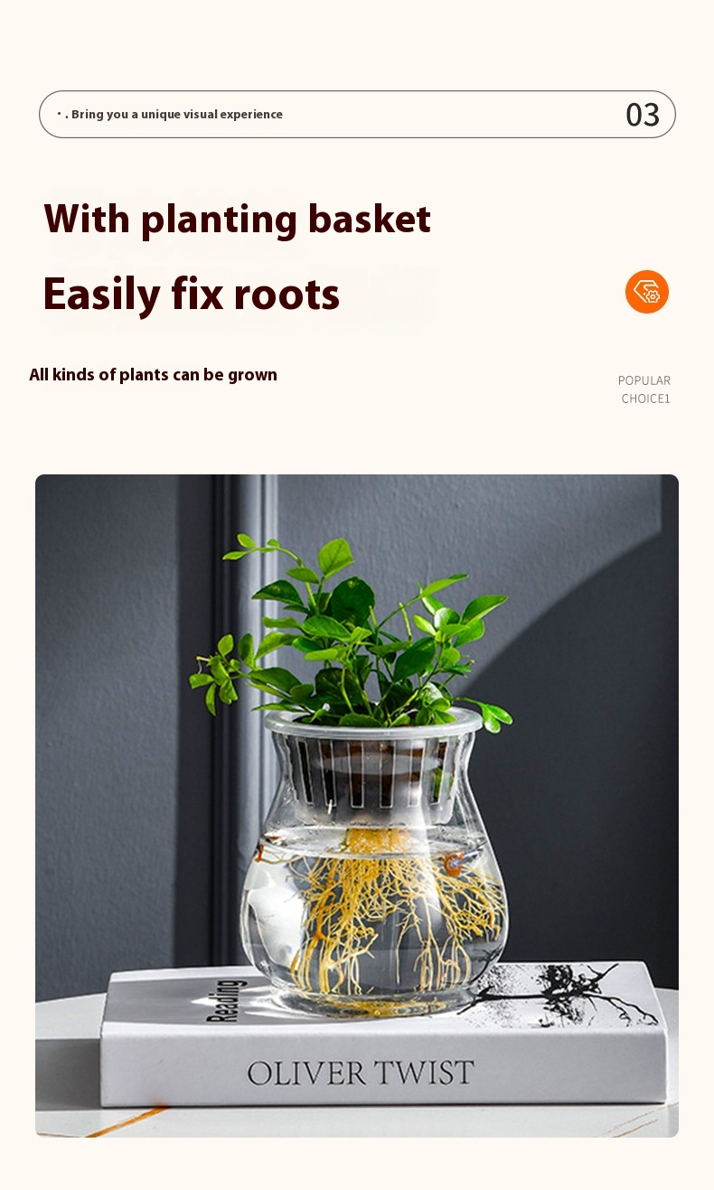 Transparent Plastic Hydroponic Vase Container 6