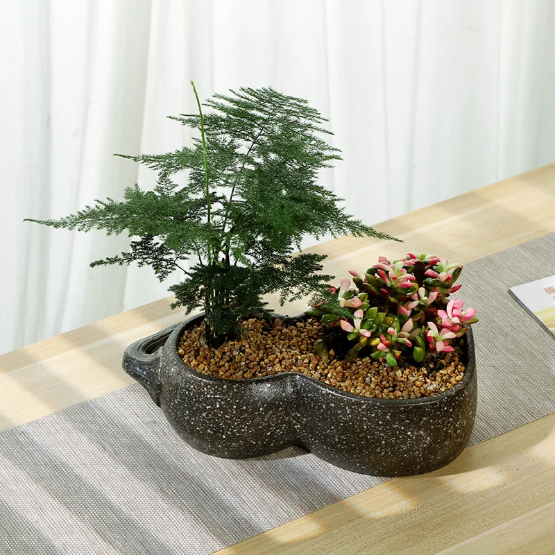 F20Aa7F1-E153-4F22-873B-D21Ffedd3D78.Webp gourd large ceramic personality hydroponic flowerpot