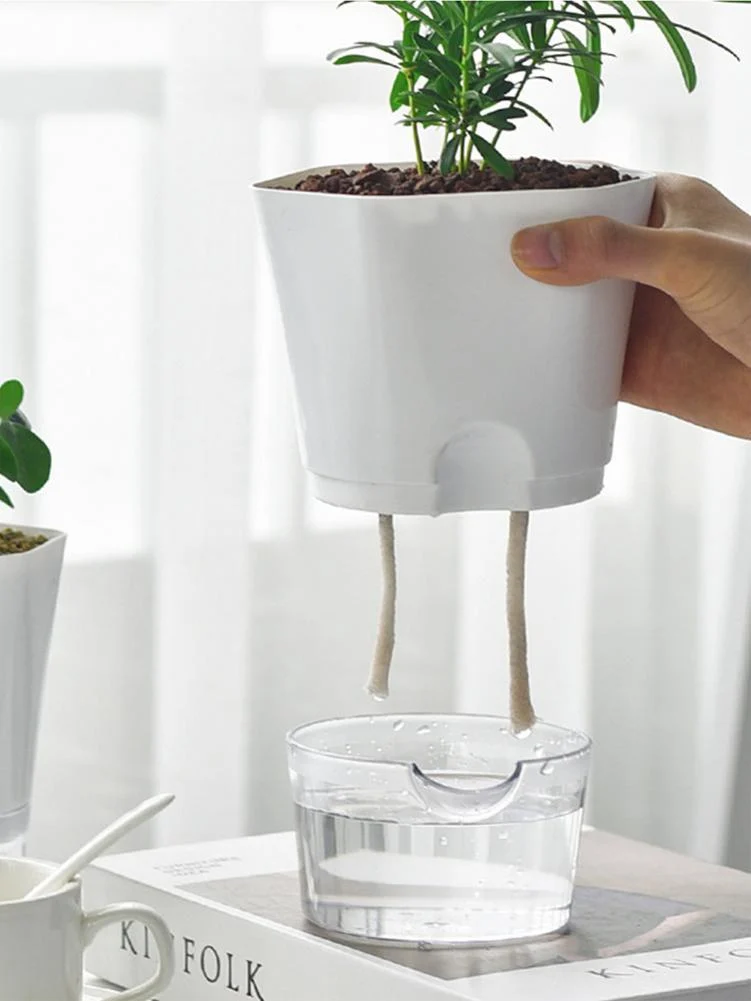 F414Bdc0-53Fa-483F-A755-09561Ab948D9.Webp self-absorbing hydroponic plastic flower pot