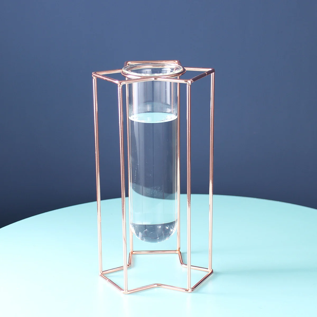 F9B7B4F9-B743-4D51-A8Eb-Eb5E210C2873.Webp light luxury ornaments hydroponic glass vase