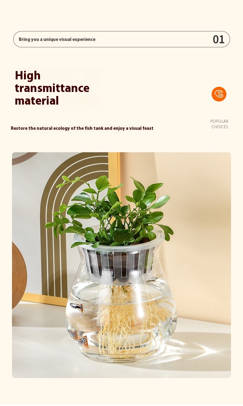 Transparent Plastic Hydroponic Vase Container 9