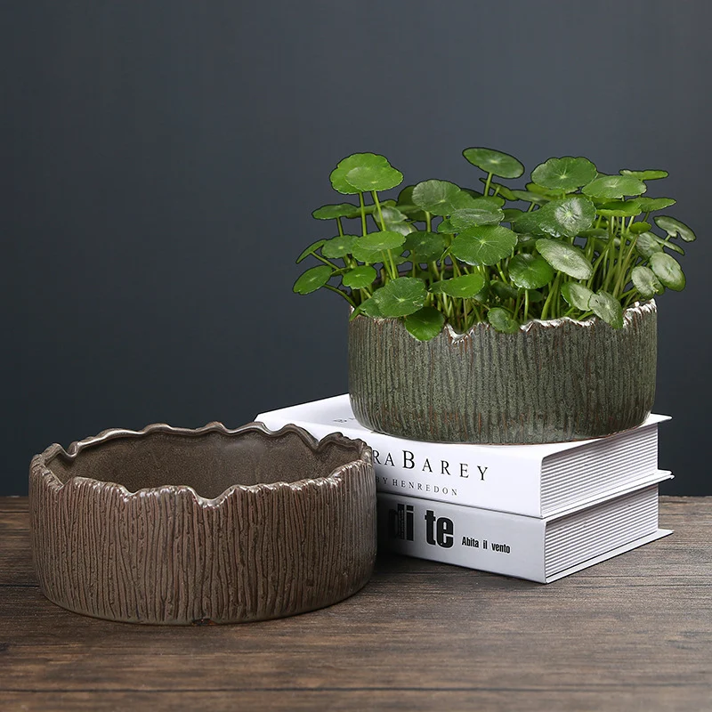 Fe89B178-5148-489C-87Cf-3130Ec79316C.webp hydroponic plant ceramic flower pot