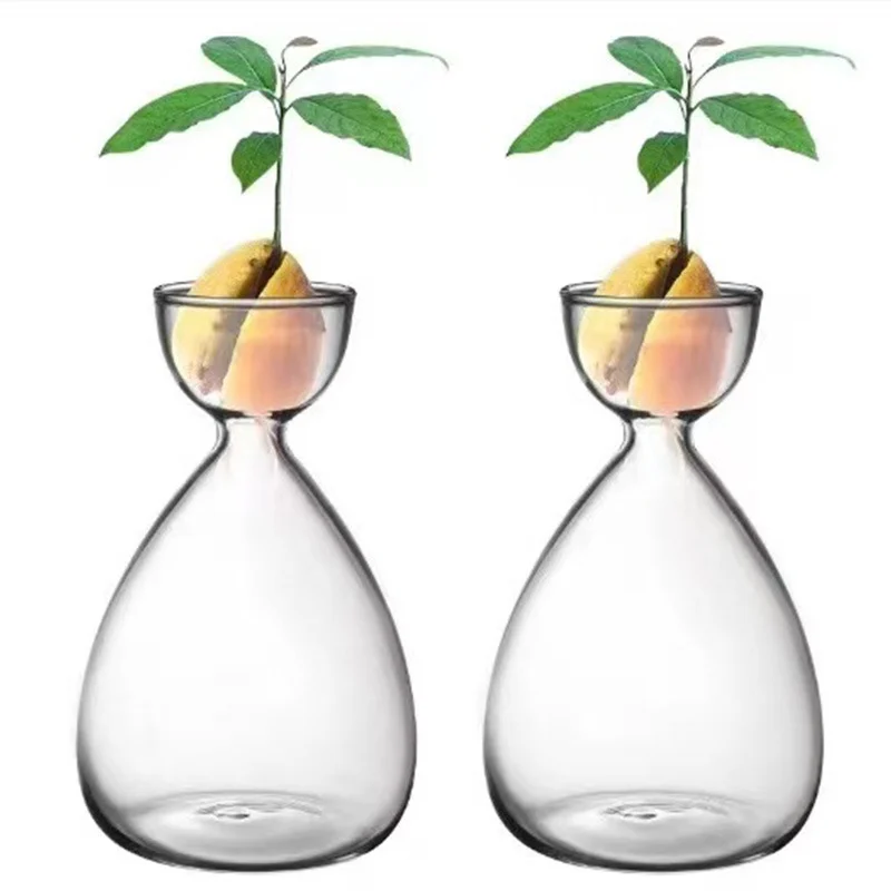 O1Cn01Qktltb1Rotfn4W1Ql_2212998085621-0-Cib.webp avocado hydroponic seed planting bottle