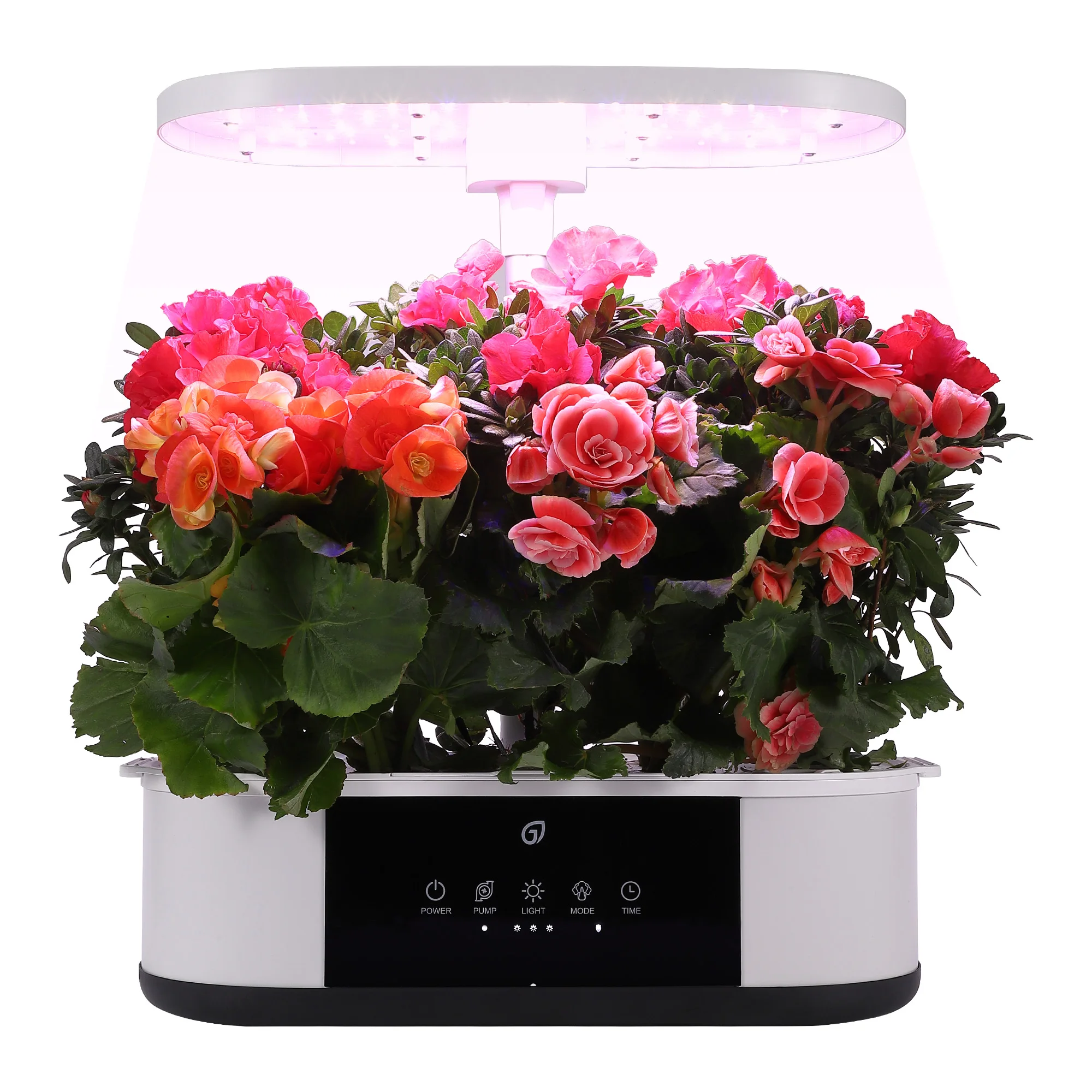 Hydroponics Growing System - 12 Pods Indoor Garden Kit With Led Lights 4