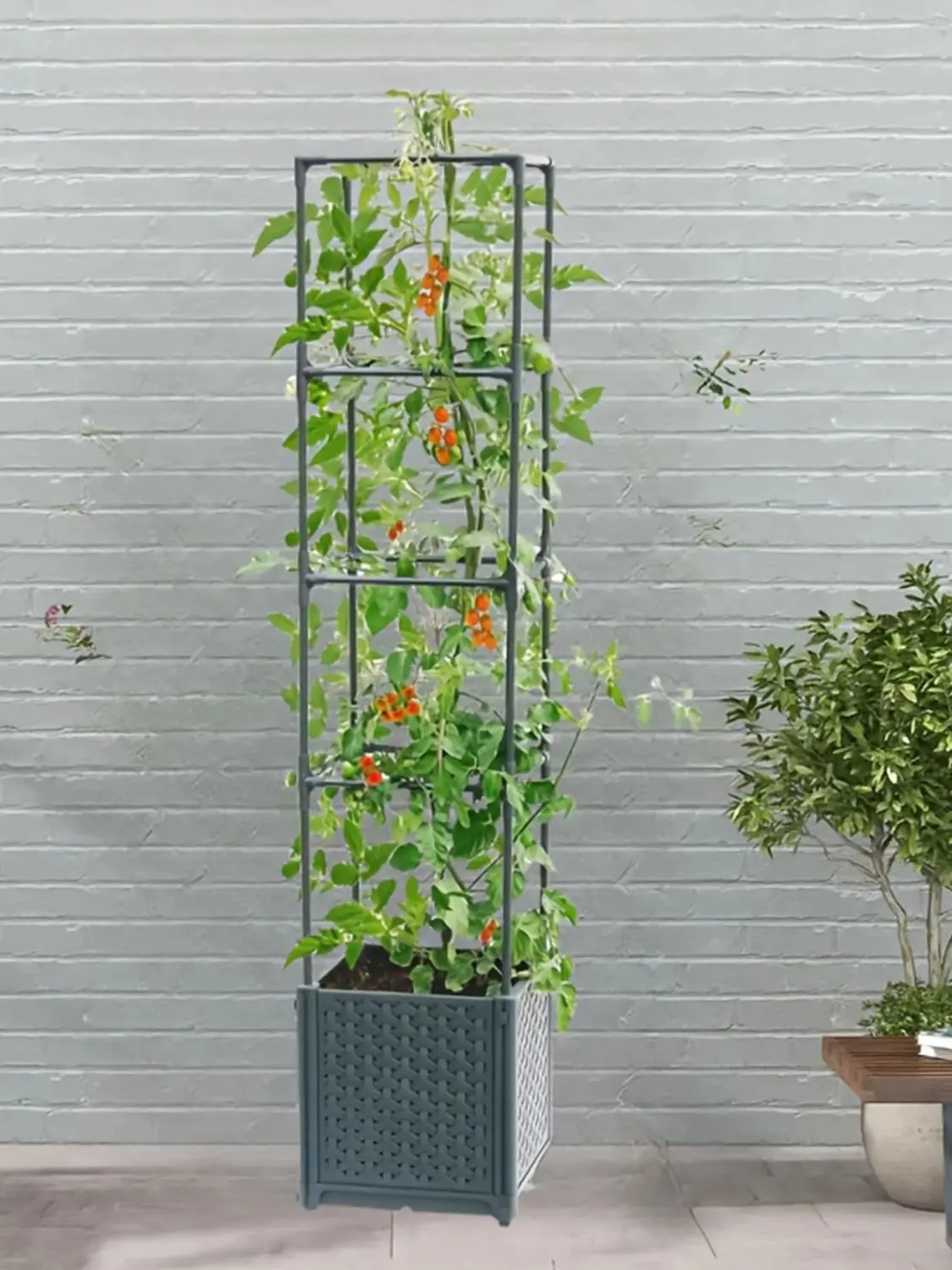 Raised Garden Bed With Tomato Planter Cage 8