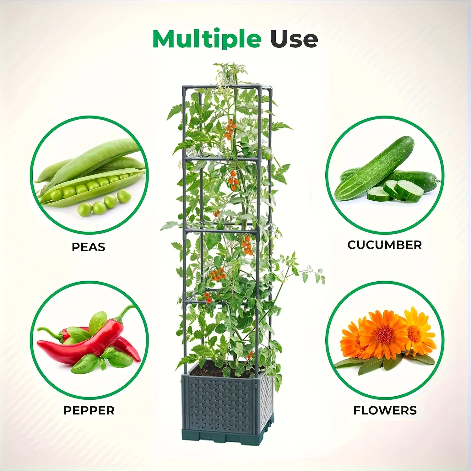 Raised Garden Bed With Tomato Planter Cage 3