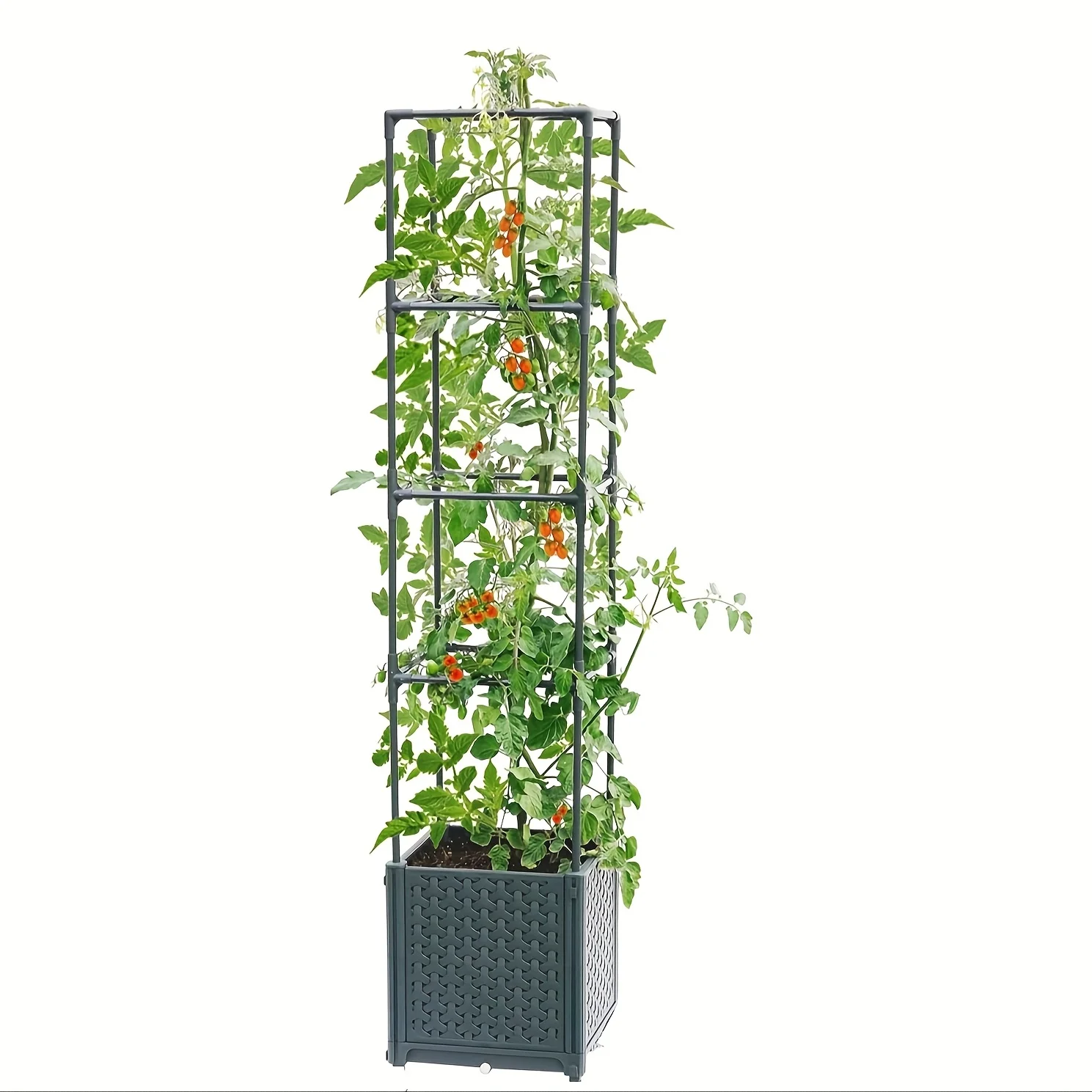 Raised Garden Bed With Tomato Planter Cage 2