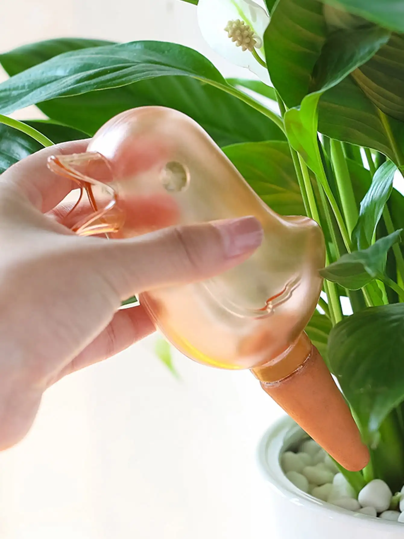 Flower Waterer - High Quality Automatic Self-Watering Bird Shaped Plant Waterer 7